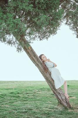 沉香如屑电视剧免费观看完整版